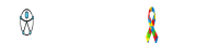 Portal Thannata da Inclusão