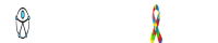 Portal Thannata da Inclusão